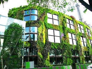 Musée du Quai Branly