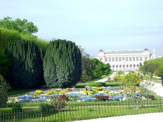 Jardin des Plantes