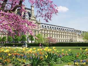 Jardines des Tuileries