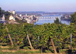 Loire Valley Wineries